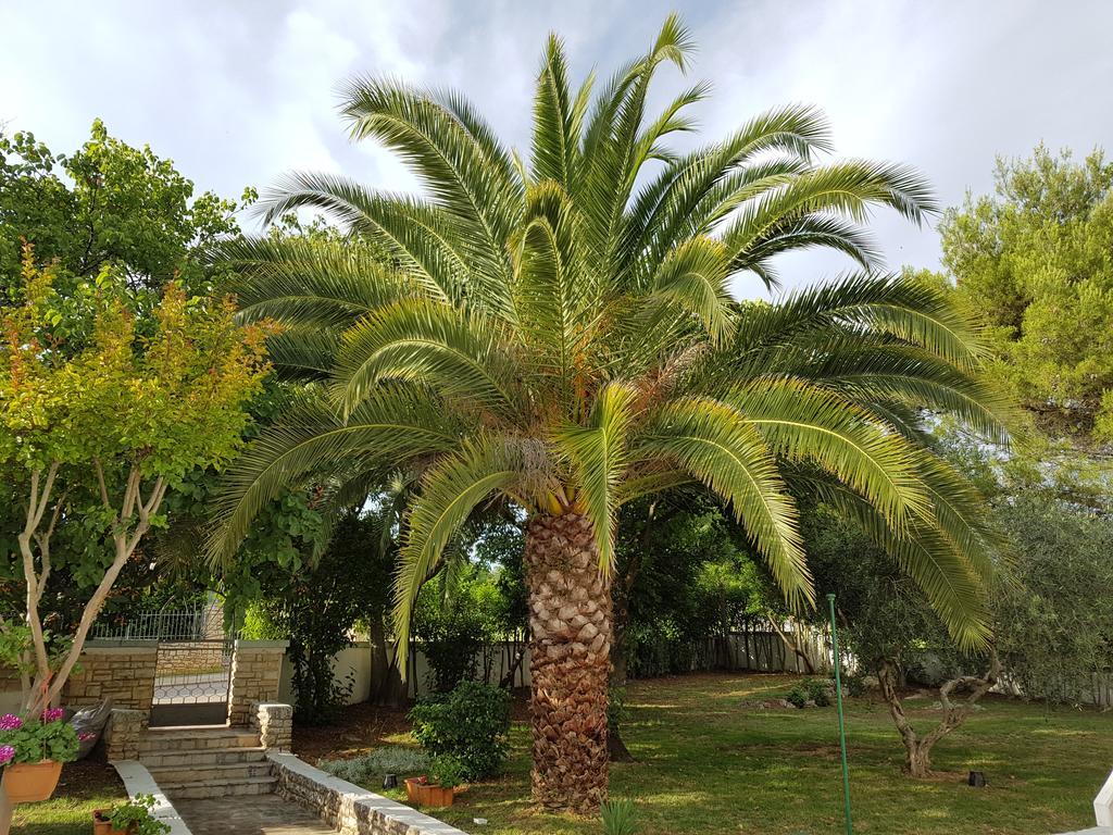 Villa Rosa With Yard And Children'S Playground Tar-Vabriga Extérieur photo