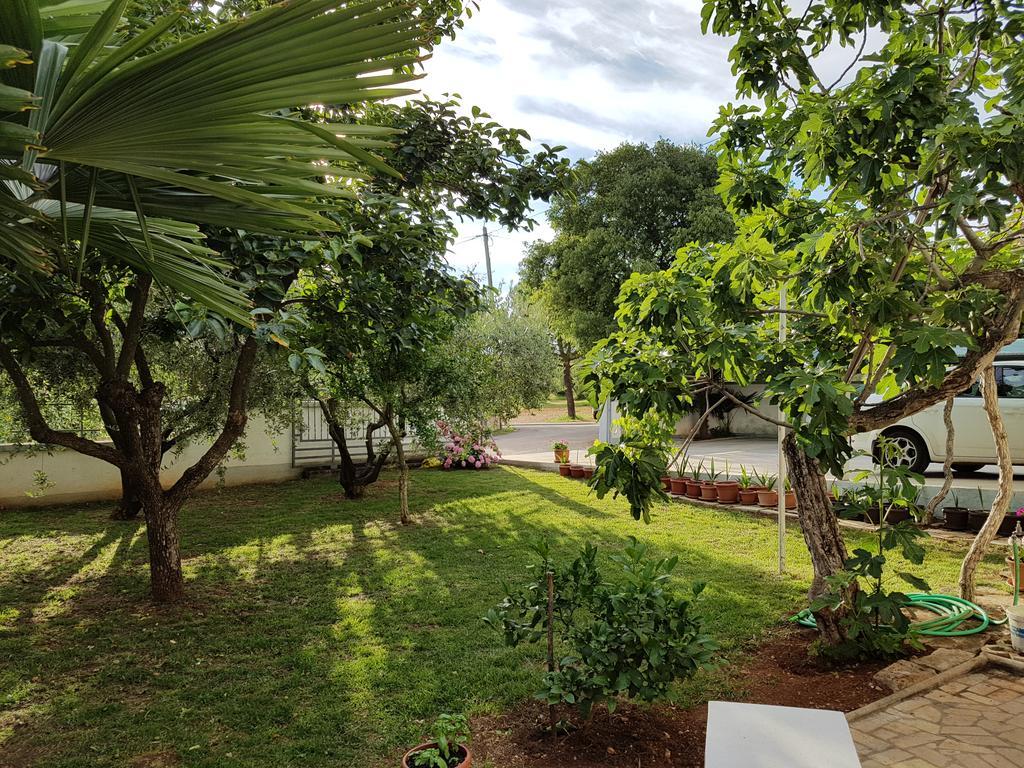 Villa Rosa With Yard And Children'S Playground Tar-Vabriga Extérieur photo