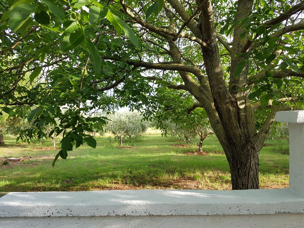 Villa Rosa With Yard And Children'S Playground Tar-Vabriga Extérieur photo