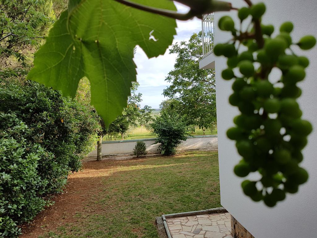Villa Rosa With Yard And Children'S Playground Tar-Vabriga Extérieur photo
