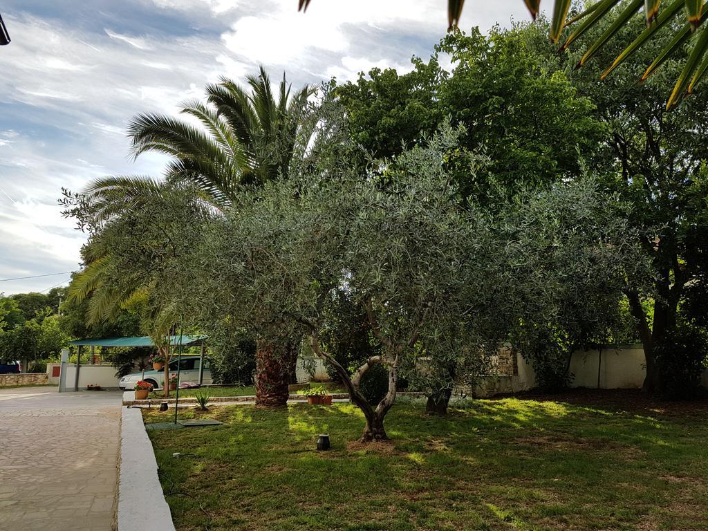 Villa Rosa With Yard And Children'S Playground Tar-Vabriga Extérieur photo